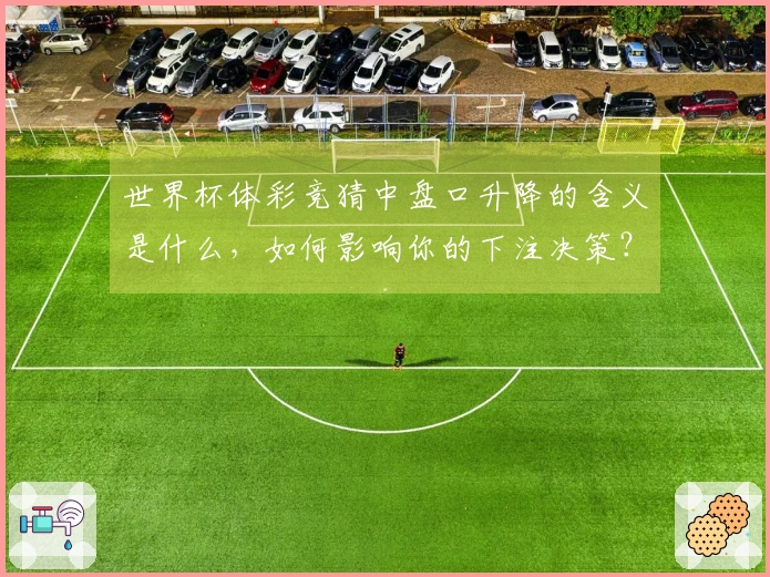 世界杯体彩竞猜中盘口升降的含义是什么，如何影响你的下注决策？