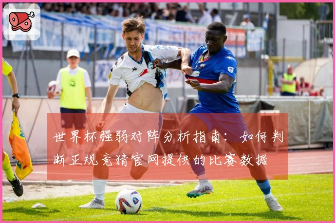 世界杯强弱对阵分析指南：如何判断正规竞猜官网提供的比赛数据