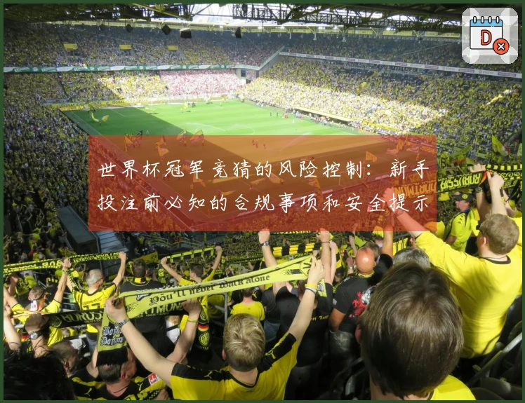 世界杯冠军竞猜的风险控制：新手投注前必知的合规事项和安全提示