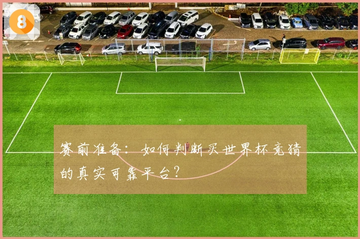 赛前准备：如何判断买世界杯竞猜的真实可靠平台？