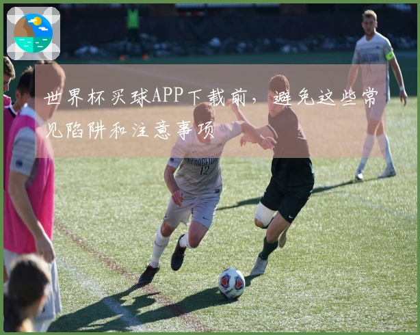 世界杯买球APP下载前，避免这些常见陷阱和注意事项