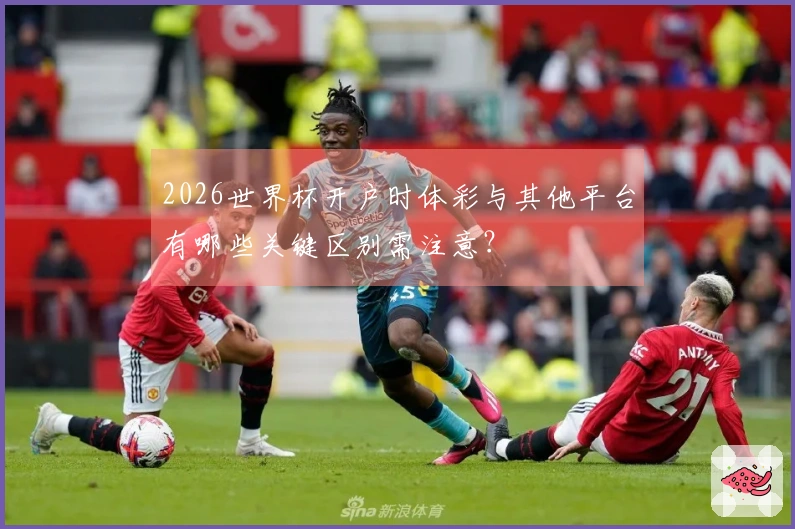 2026世界杯开户时体彩与其他平台有哪些关键区别需注意？
