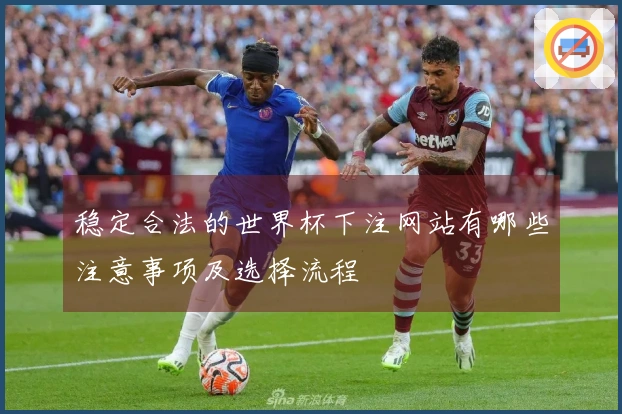 稳定合法的世界杯下注网站有哪些注意事项及选择流程